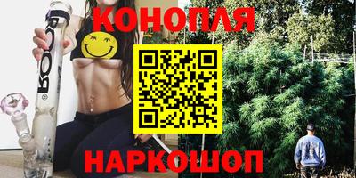 молекула духа Камышлов