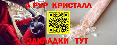 молекула духа Камышлов