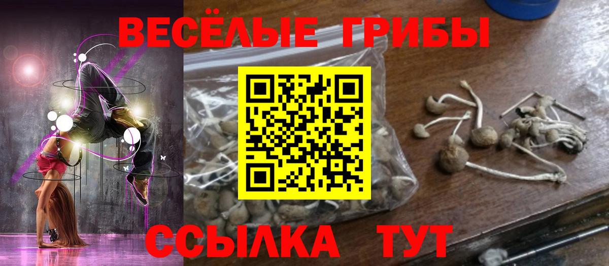 Удомля  Галлюциногенные грибы MAGIC MUSHROOMS  Вход с VPN 